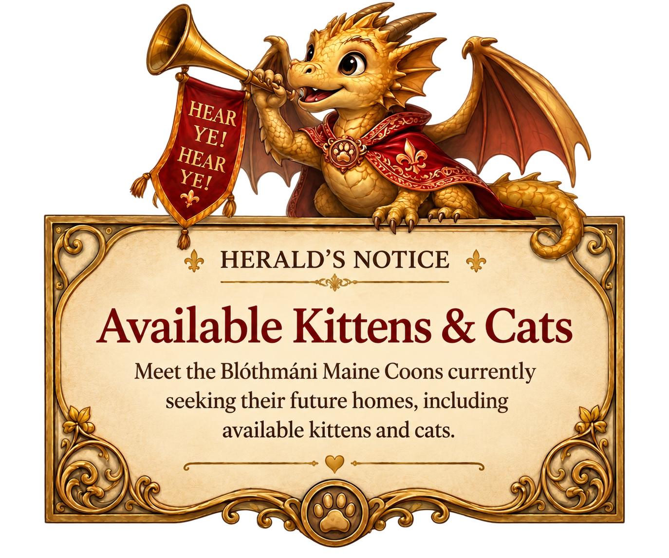 Herald's Notice announcing available Blóthmáni Maine Coon kittens and cats